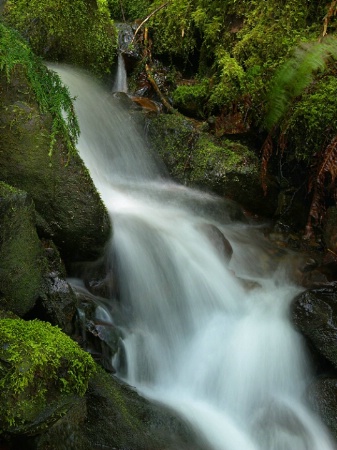 Small cascading creek