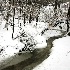 © Jacqueline M. Stoken PhotoID# 6084034: Winter creek