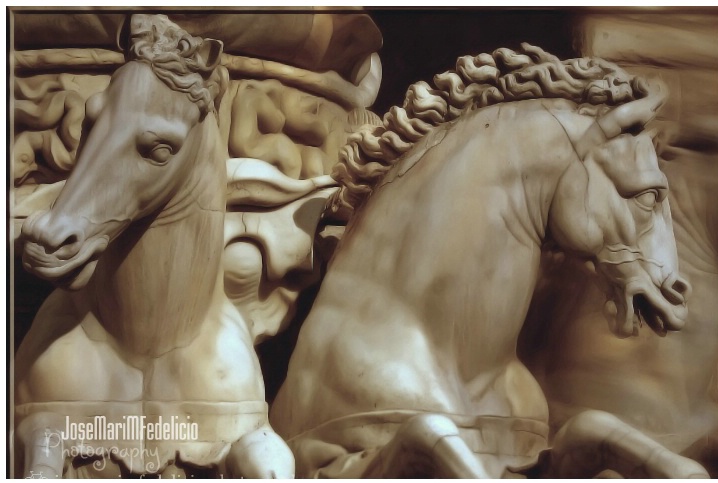 NEPTUNE'S HORSES