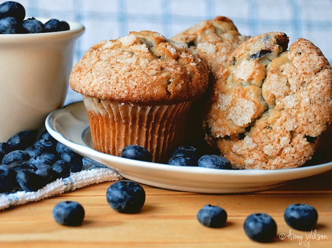 Blueberry Muffins