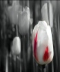 Standing Out From...