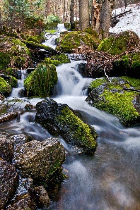 Spring Thaw