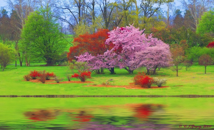 Spring in Virginia - ID: 6101987 © Eloise Bartell