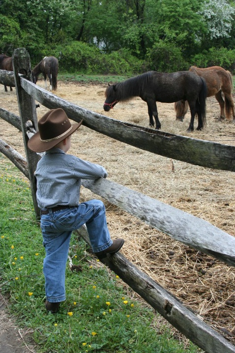 Pony Cowboy