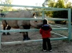 Feeding Time