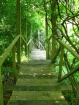 Green stairway (N...
