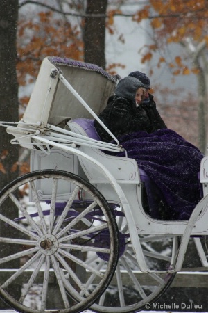 central_park_carriage_ride