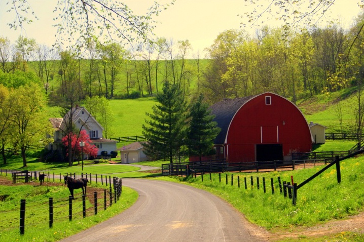 Spring in Amish Country