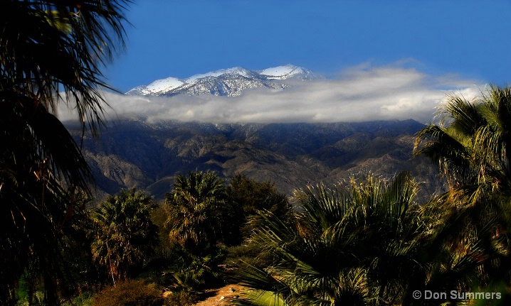 Palm Desert, CA 2008 - ID: 6130870 © Donald J. Comfort