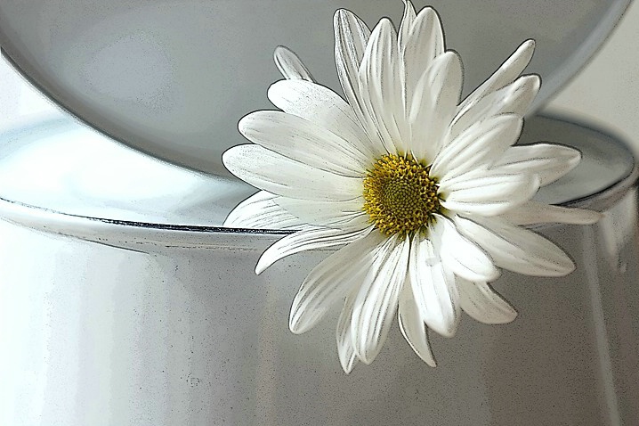 Country Flower - ID: 6142545 © Agnes Fegan