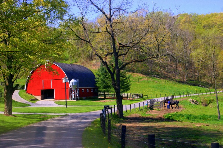 Amish Spring