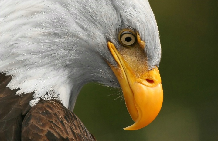 Up Close