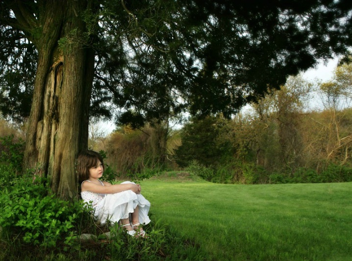 Under the Tree