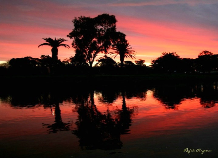 My Riverina Nights