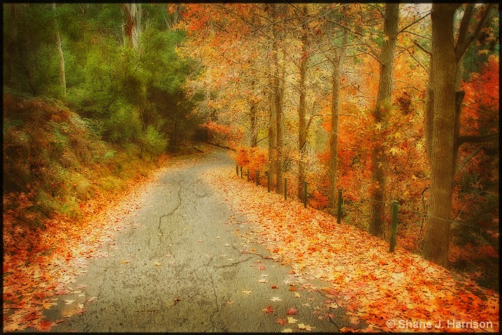 Autumn in the Cataract Gorge....