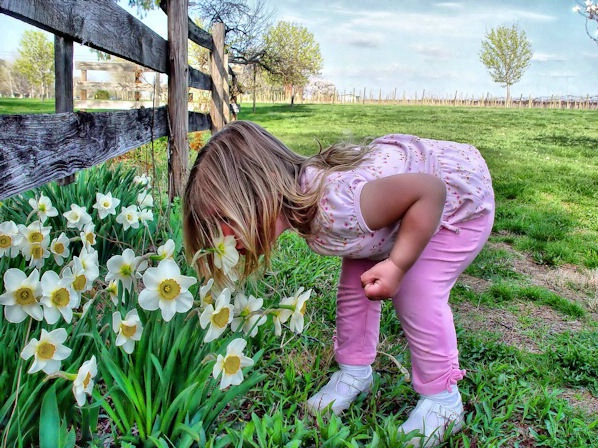 Exploring the Smells of Springtime