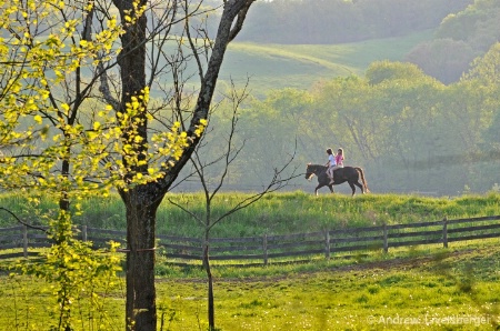 Farmer's Daughters On Their Horse