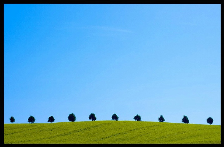 summer may...