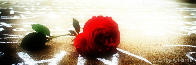 a Rose...