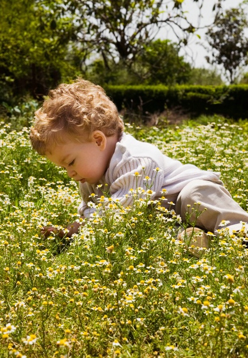 Child in chamomile field