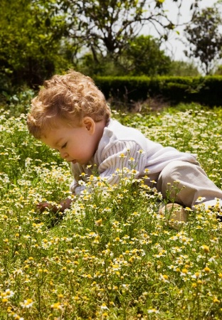 Child in chamomile field