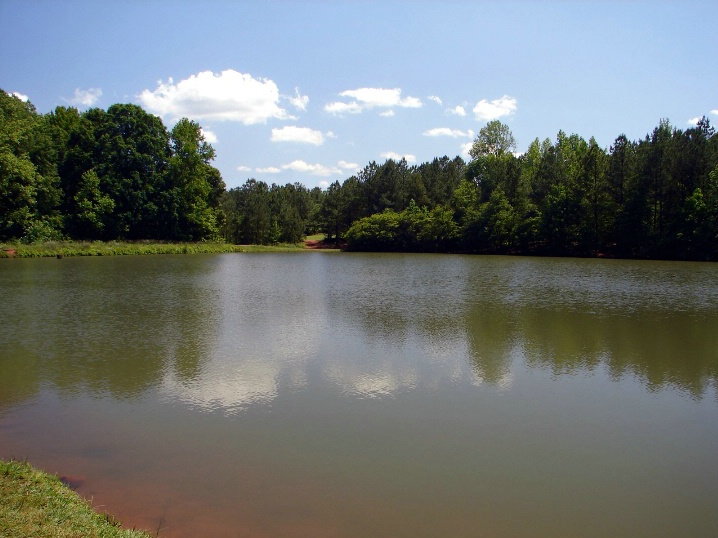 The Cobb Pond #1