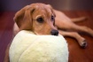 My ball ...