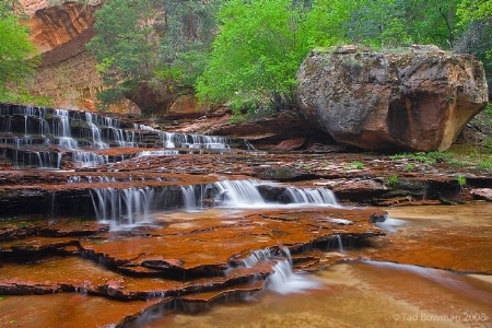 Left Fork Cascades