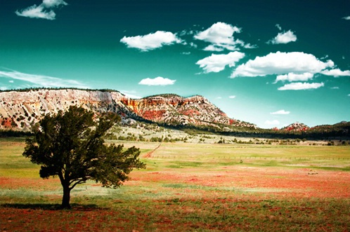 Cerro Blanco