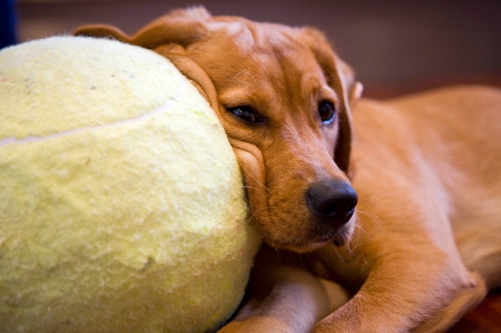 Yep, it's my ball...