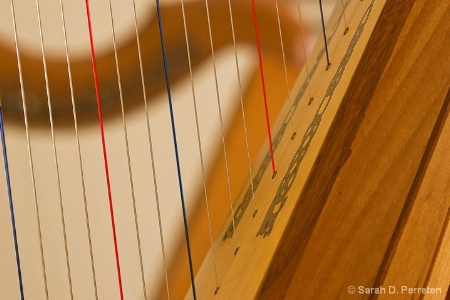 Harp strings 