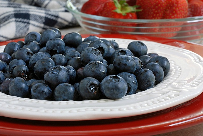 ~ red, white, and blueberries ~