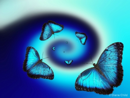 Butterfly Vortex