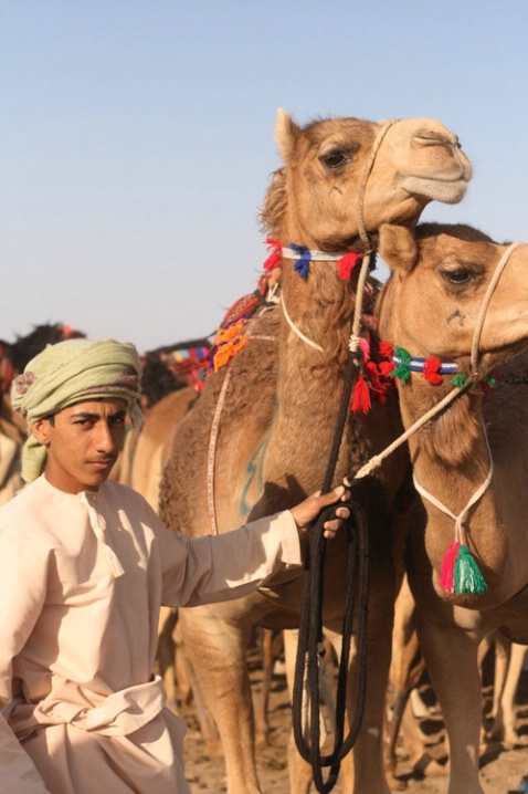 camels guardian