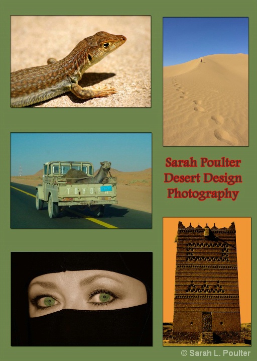 Desert Design Promo Piece
