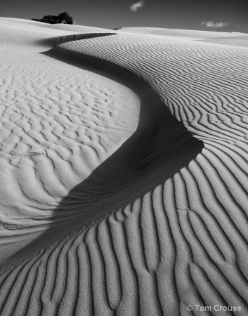 Oceano Dunes Sunset #1