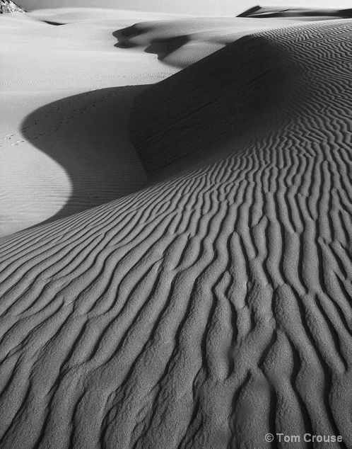 Oceano Dunes Sunset #2