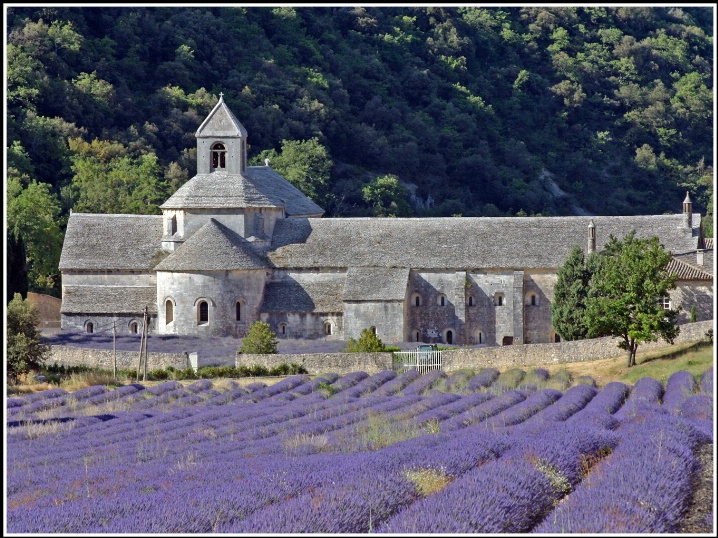 Abbaye of Senanque - Provence