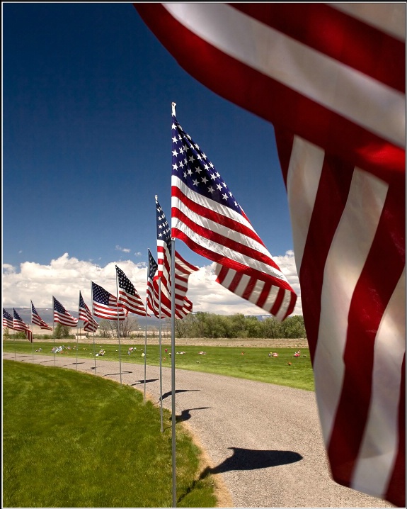 Memorial Day - ID: 6300744 © Endre Balogh