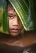 Boy from Mahaka r...