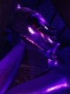 Peaceful Purple  