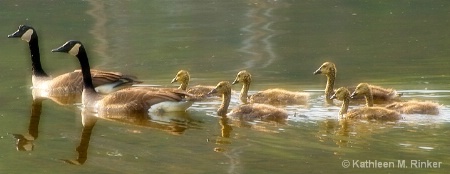 mom, pop and the kids