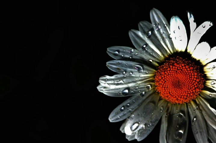 Wet Beauty