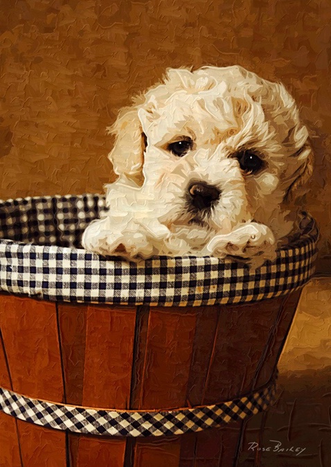 Painted Puppy