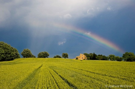 Rainbow Field - Framing the photo