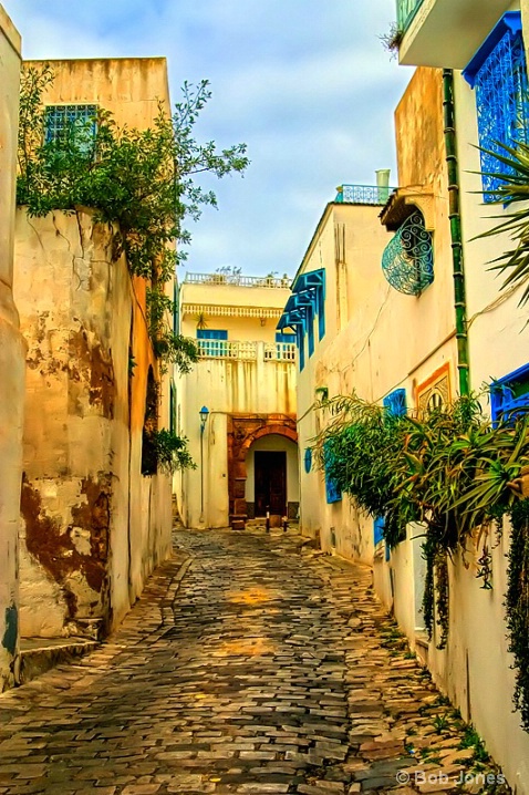Down a Tunisian Street