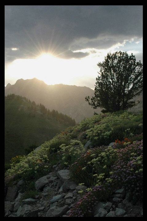 Days' End at Albion Basin