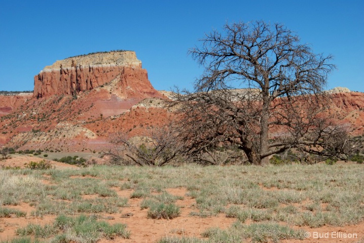 Ghost Ranch 