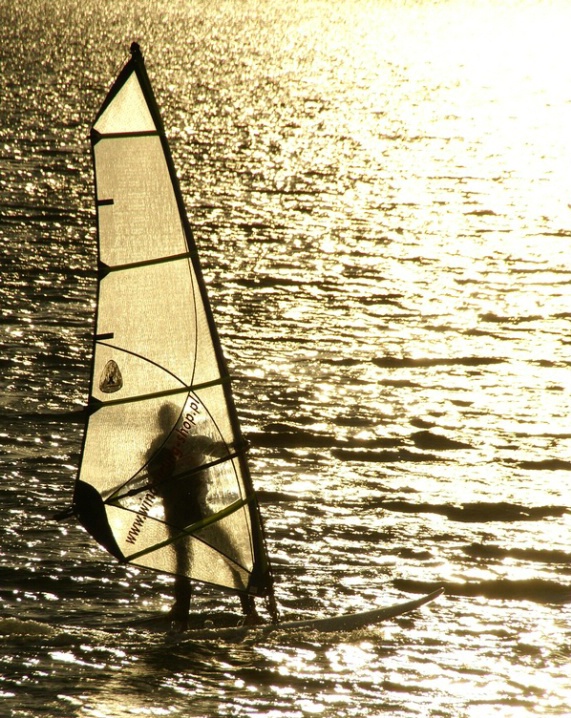   windsurfing
