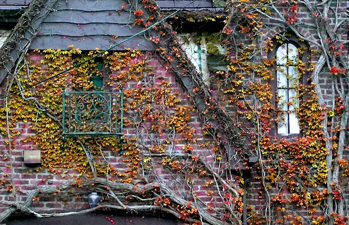 Autumn ornament